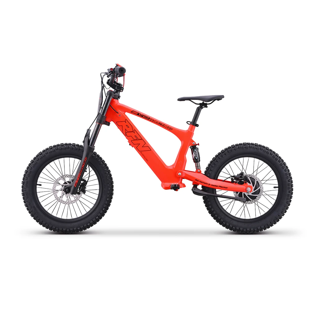 RFN EVO RACING 18 - Laufrad - Seite links