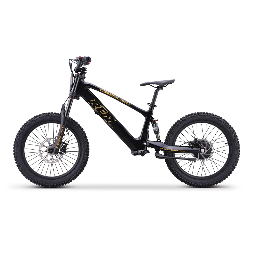 RFN EVO Racing 20 - Elektrisches Laufrad - Seite Links Schwarz