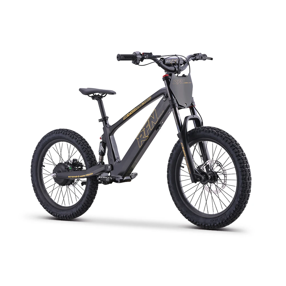 RFN EVO Racing 20 - Elektrisches Laufrad - Seite Rechts Vorn Schwarz